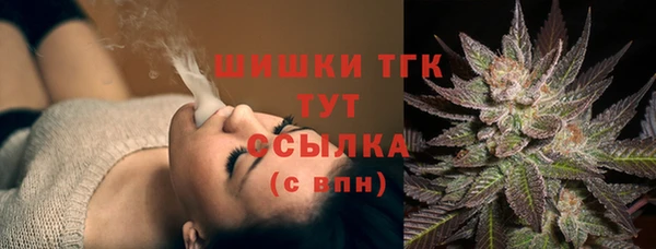 мдпв Белокуриха